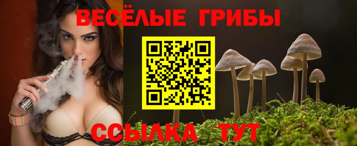 Псилоцибиновые грибы MAGIC MUSHROOMS  Вход с VPN  Югорск 
